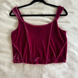 Anthropology Pink Velvet Corset Top
